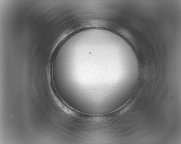 X0000066941130200603241135