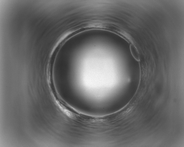 X0000066941131200603241135