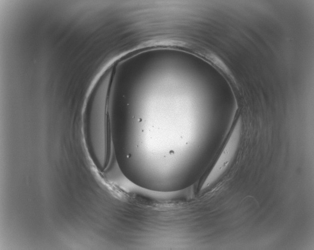 X0000066941132200603241135