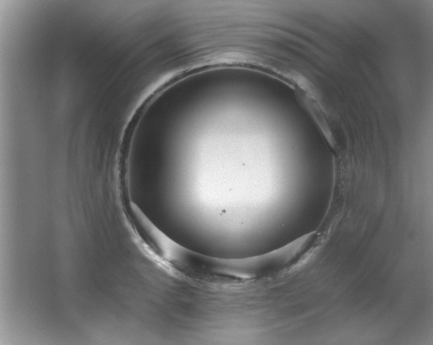 X0000066941134200603241135