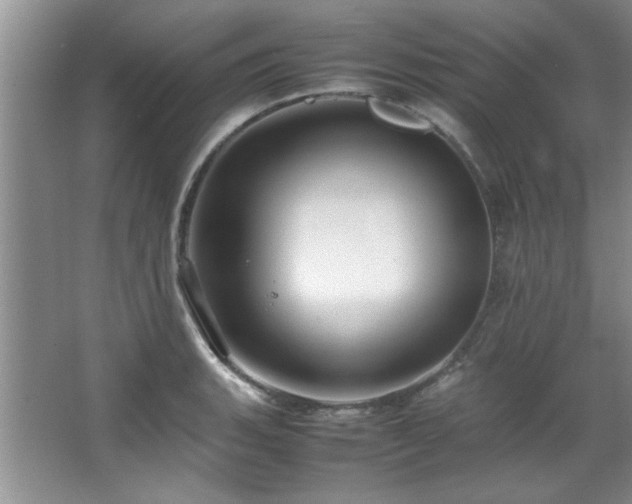 X0000066941135200603241135