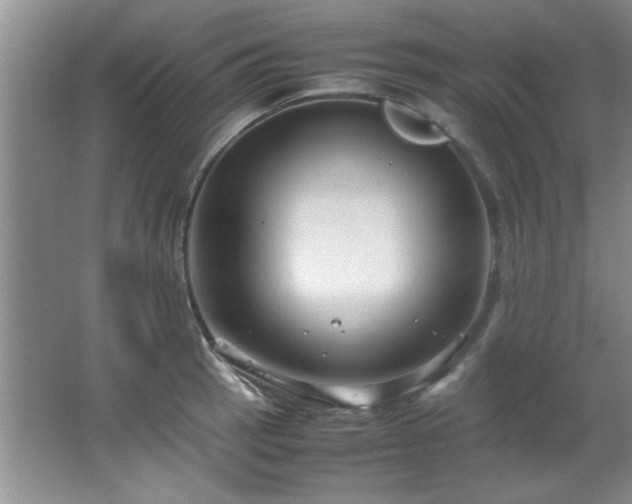 X0000066941137200603241135