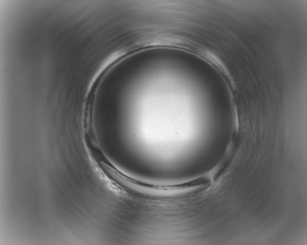 X0000066941138200603241135