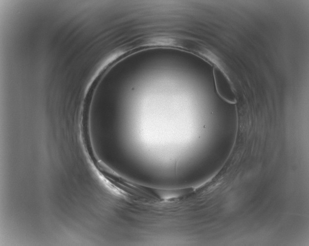 X0000066941139200603241135