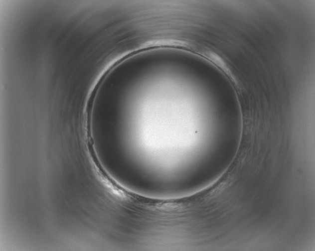 X0000066941140200603241135