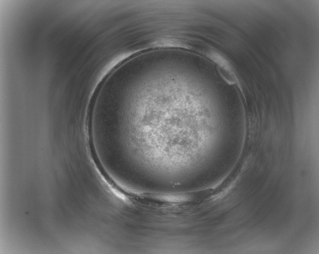 X0000066941141200603241135