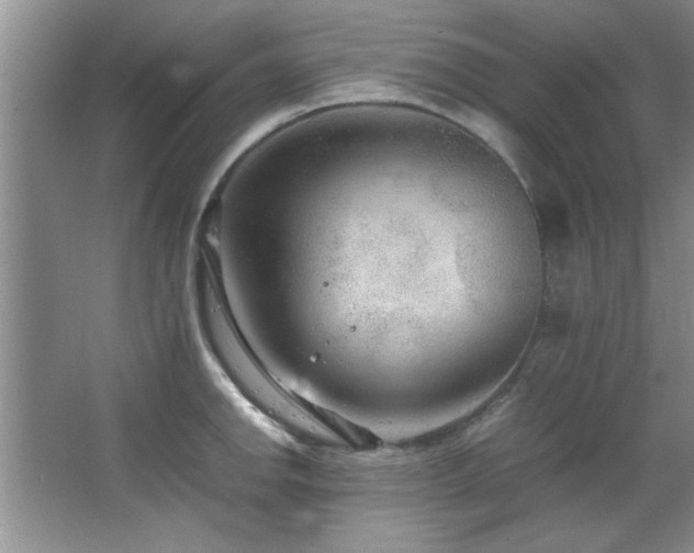 X0000066941142200603241135