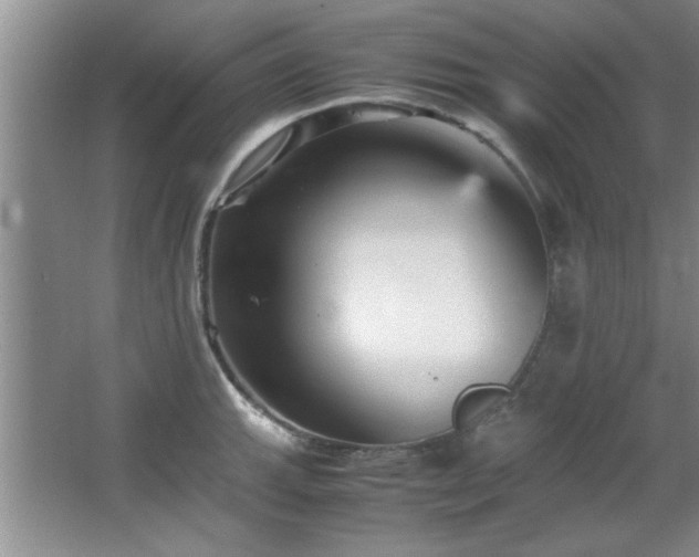 X0000066941143200603241135