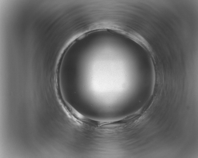 X0000066941144200603241135