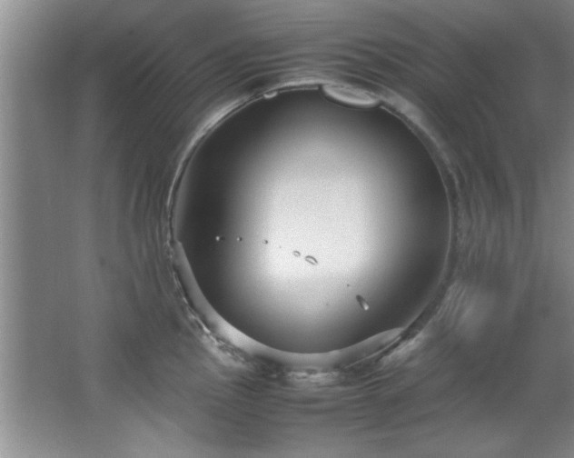 X0000066941145200603241135