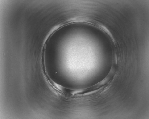 X0000066941146200603241135