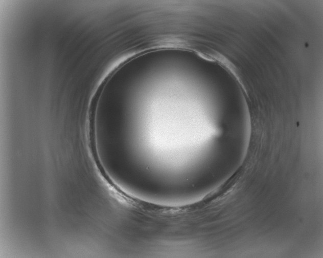 X0000066941147200603241135