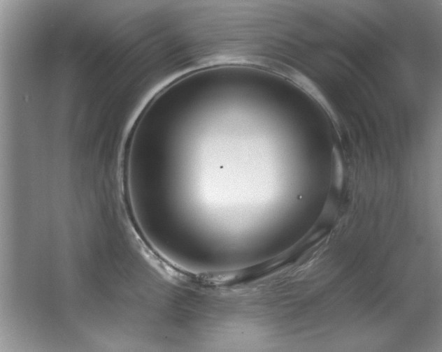 X0000066941148200603241135