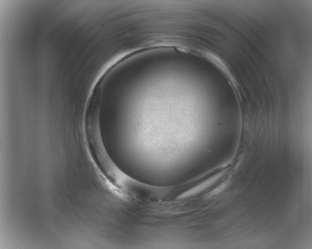 X0000066941149200603241135