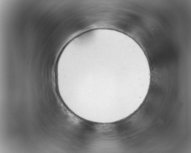 X0000066941150200603241135