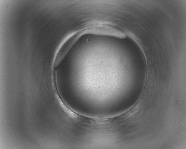 X0000066941152200603241135