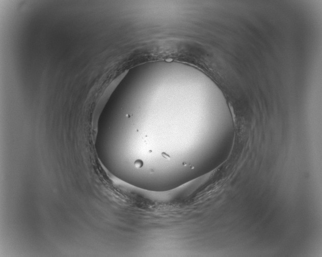 X0000066941153200603241135