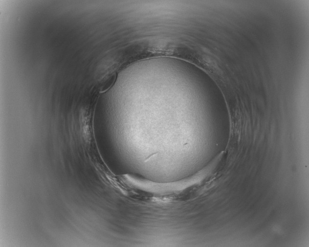 X0000066941154200603241135