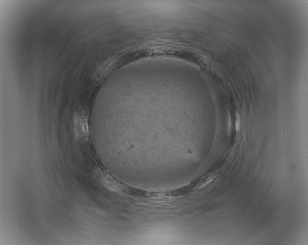 X0000066941155200603241135