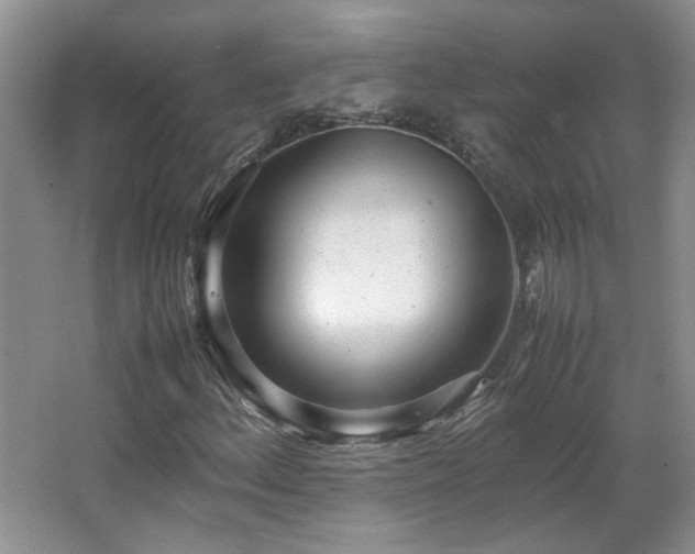 X0000066941156200603241134