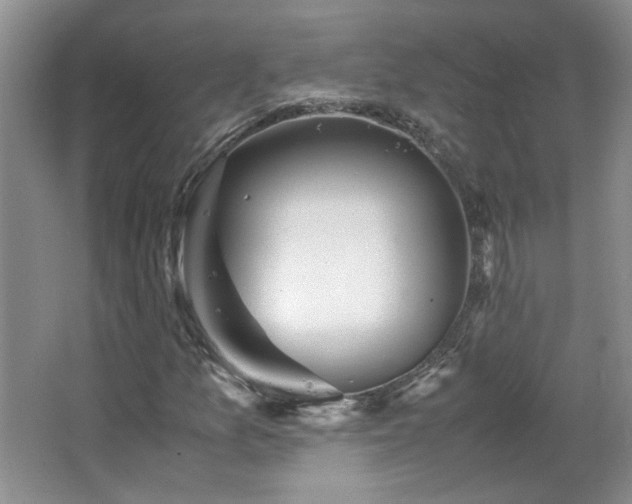 X0000066941157200603241134