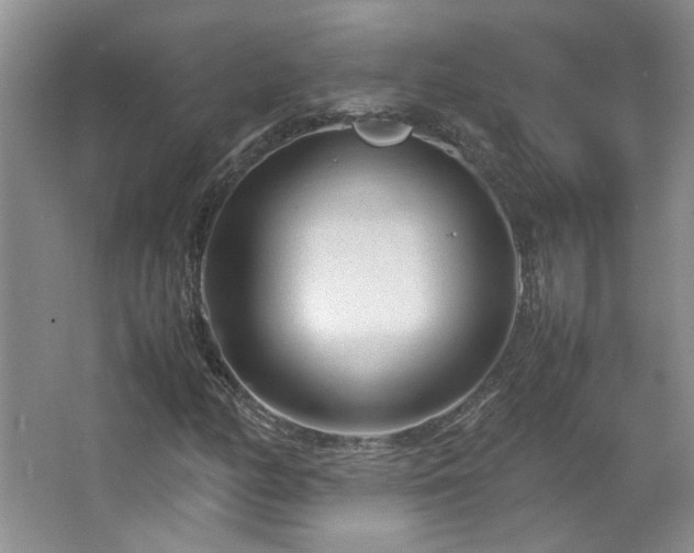 X0000066941158200603241134