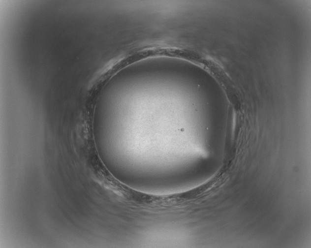 X0000066941159200603241134