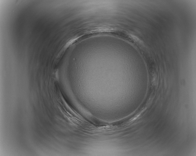 X0000066941161200603241134