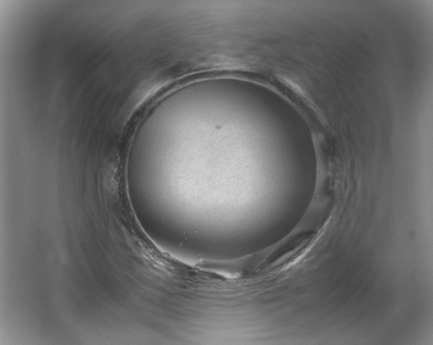 X0000066941163200603241134