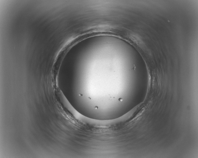 X0000066941164200603241134