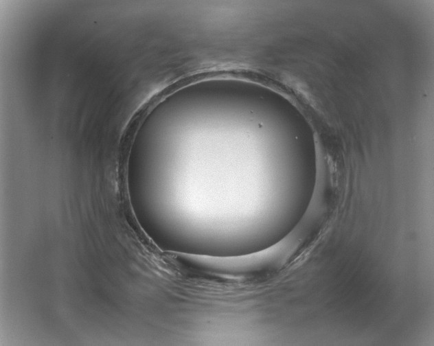 X0000066941165200603241134