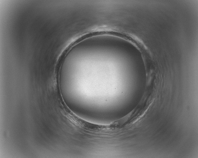 X0000066941167200603241134