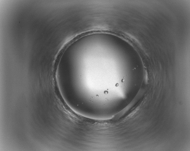 X0000066941168200603241134