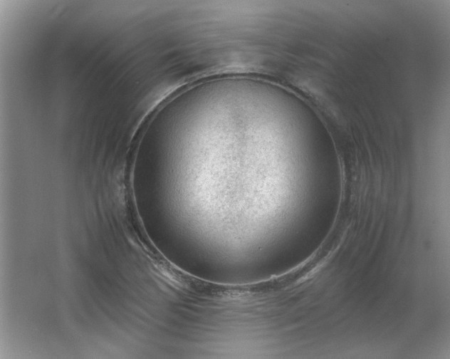 X0000066941170200603241134