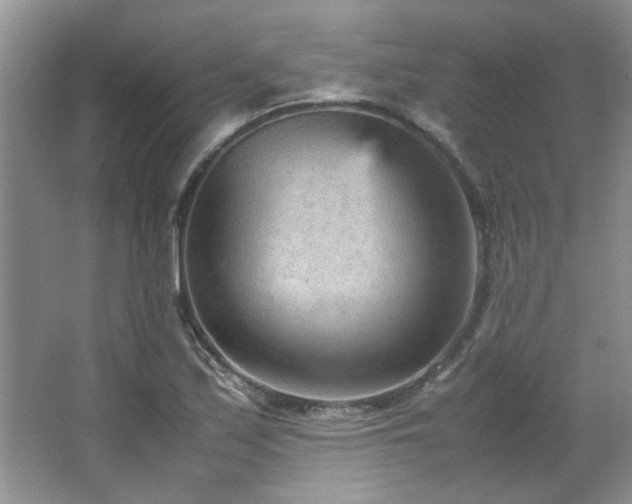 X0000066941171200603241134