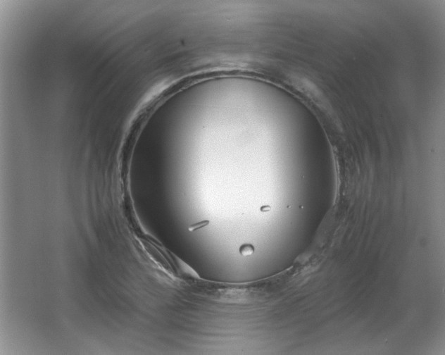 X0000066941172200603241134