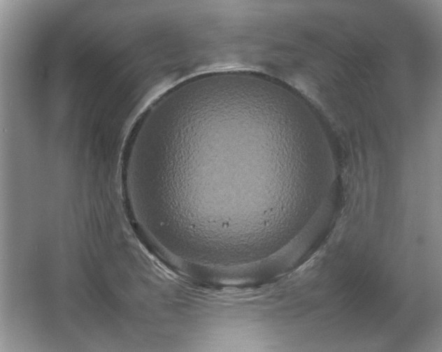 X0000066941173200603241134