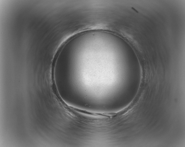 X0000066941174200603241134