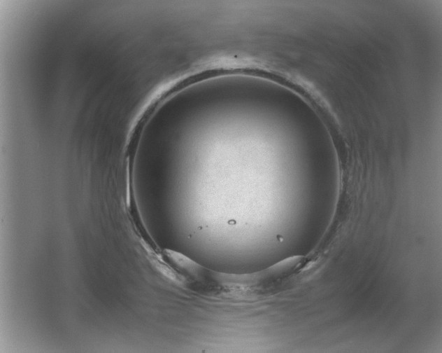 X0000066941175200603241134