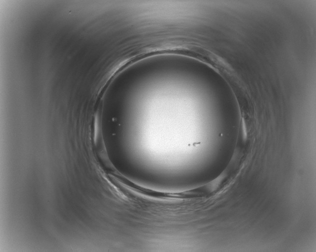 X0000066941177200603241134