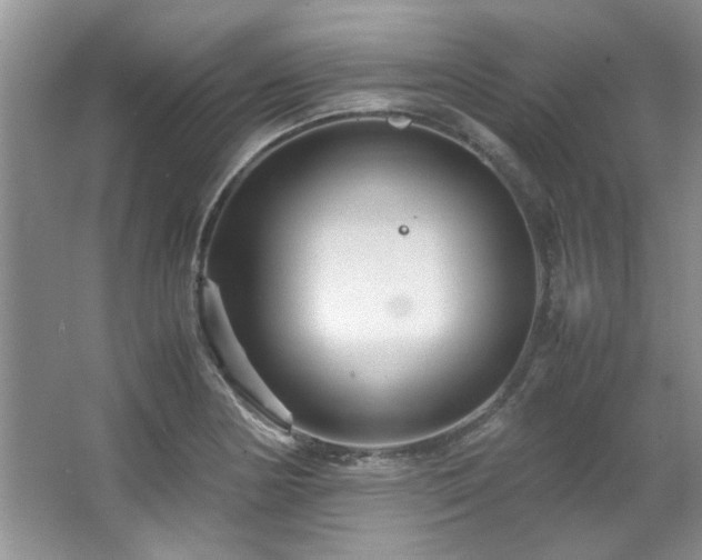 X0000066941178200603241134