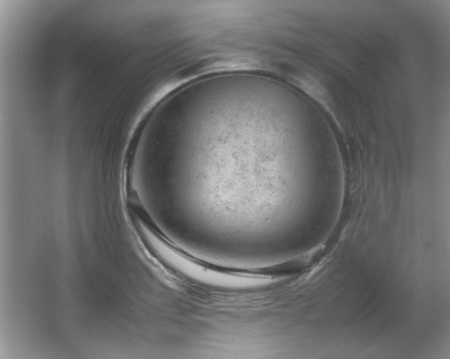 X0000066941179200603241134