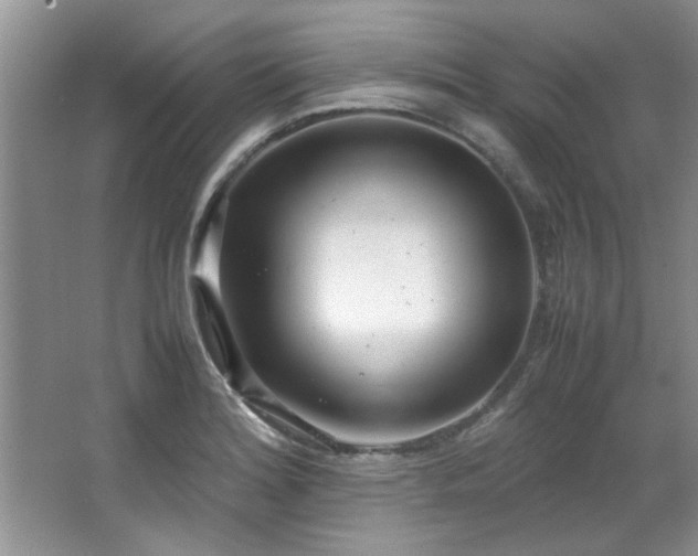 X0000066941180200603241134