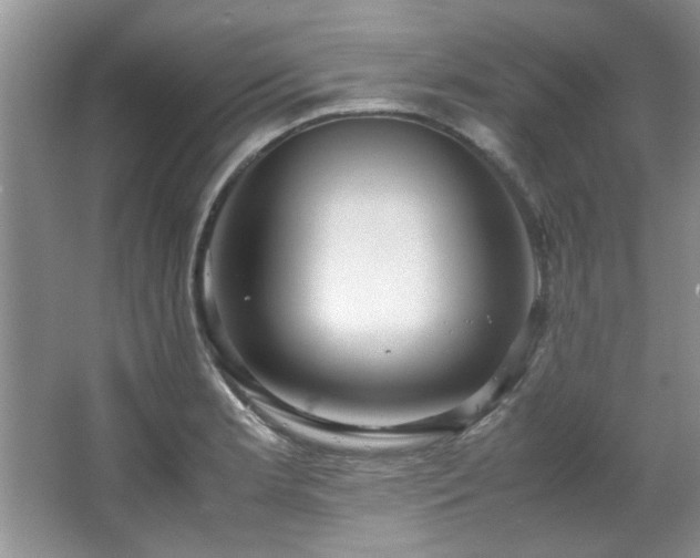 X0000066941181200603241134