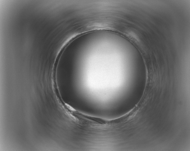 X0000066941182200603241134