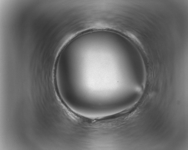 X0000066941183200603241134