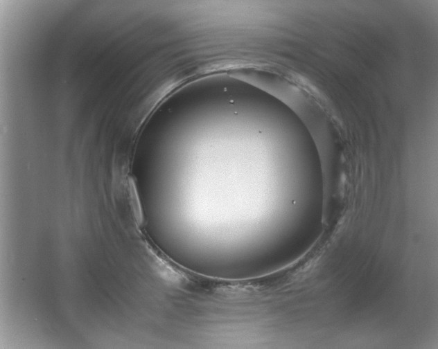 X0000066941185200603241134