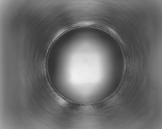 X0000066941186200603241134