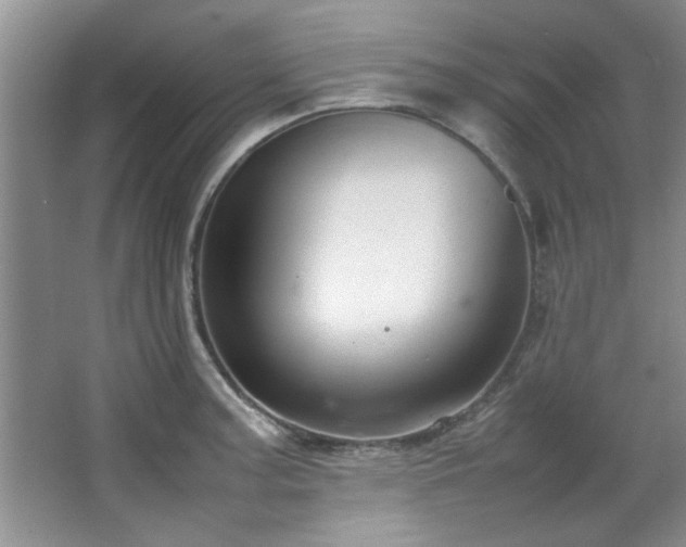 X0000066941187200603241134