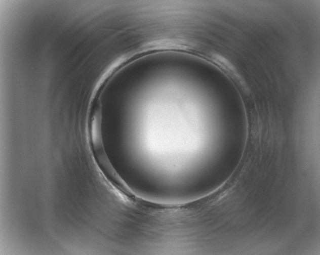 X0000066941188200603241134